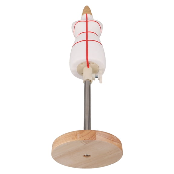 BESTYASH Female Dress Form Mannequin with Precision Draping Aid for Sewing and Clothing Display