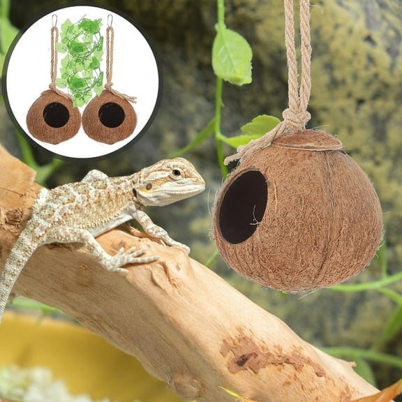 BESTYASH Comfortable Living Environment 4Pcs Coconut Nest for Small Pets and Reptiles