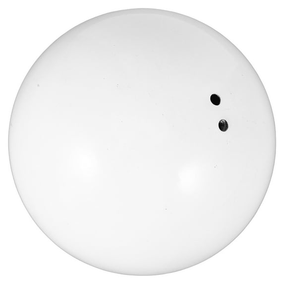 BESTYASH Stainless Steel Hanging Decorative Sphere White Reflective Ornament for Home and Office Decor, 1 Piece