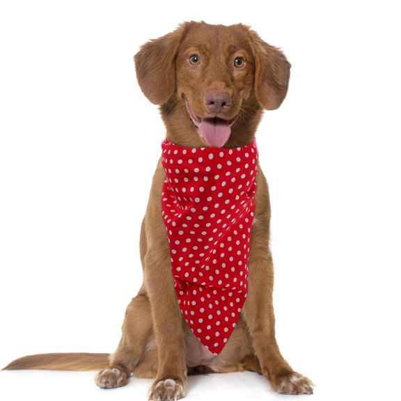 BESTYASH Collar Bib with Round for Clean and Comfortable Pets