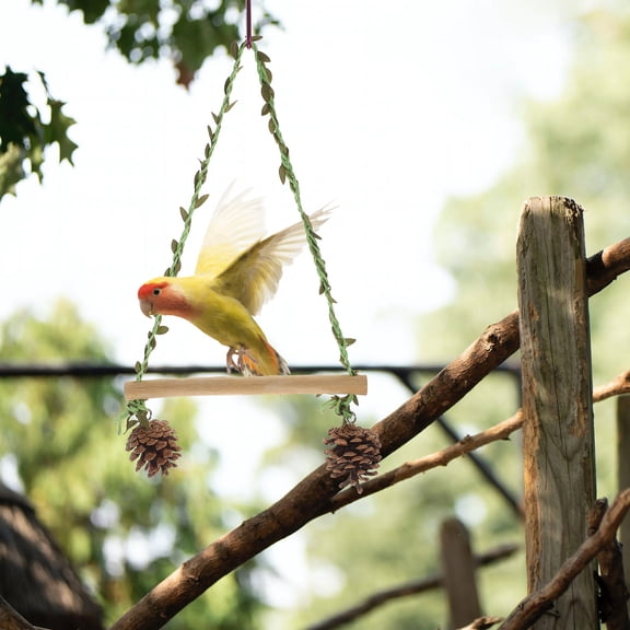 BESTYASH Durable Bite Resistant Bird Swing with Creative Design for Parakeet and Parrot Cages