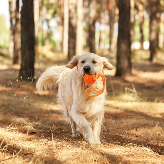 BESTYASH Durable Orange Pet Chew Ball for Dogs with Hunting Instinct Stimulation