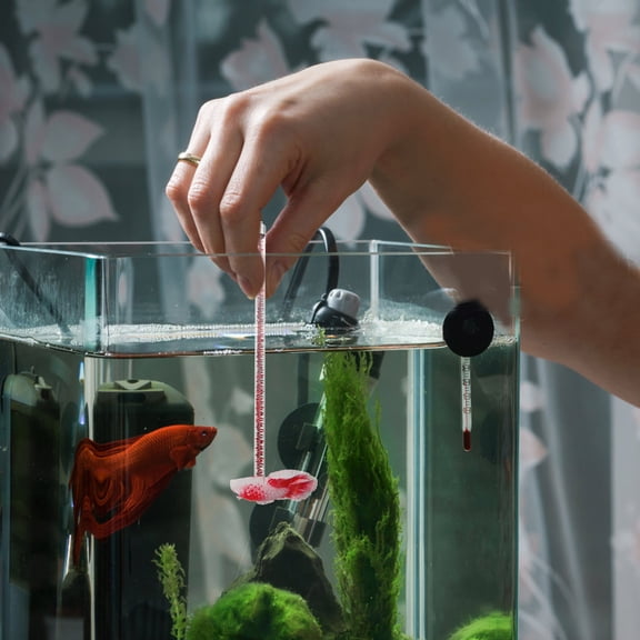 BESTYASH Durable Red Betta Fish Training Stick for Aquarium Tanks Enhance Fish Activity