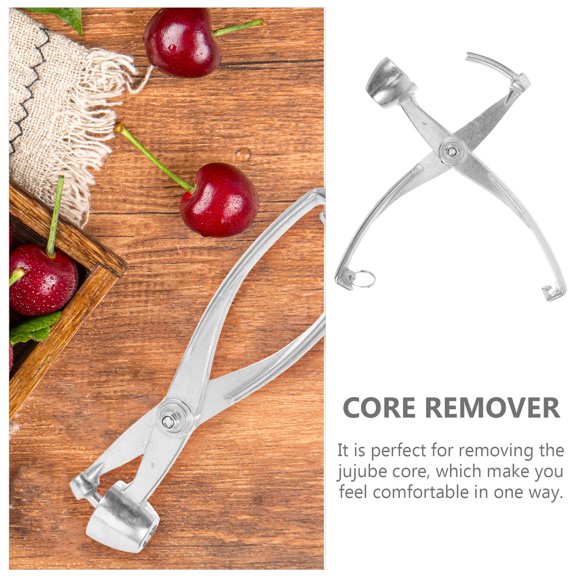 BESTYASH Fruit Corer Pitter Metal Pitting Fruit Core Removal Tool Kitchen Use 1Pack