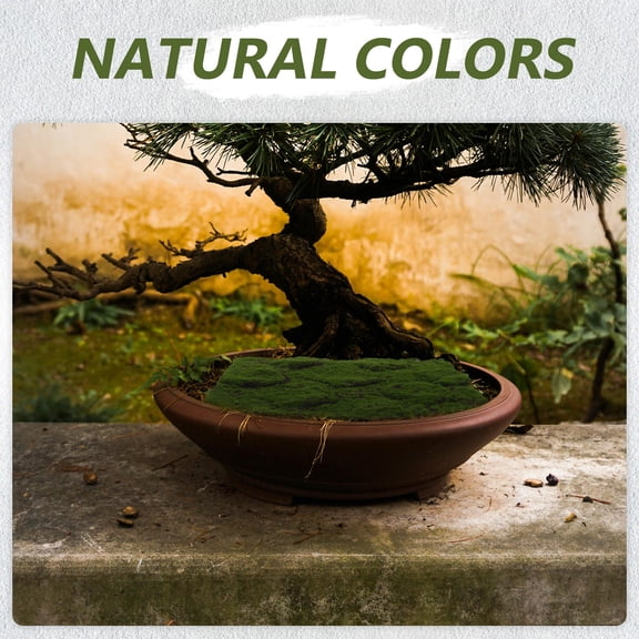 BESTYASH Realistic Fake Moss Grass Rug Green Simulation Moss Turf for Indoor Decorative Crafts