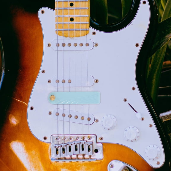 BESTYASH Guitar Accessories Guitar String Dampener Plastic Noise Reducer 1Pack