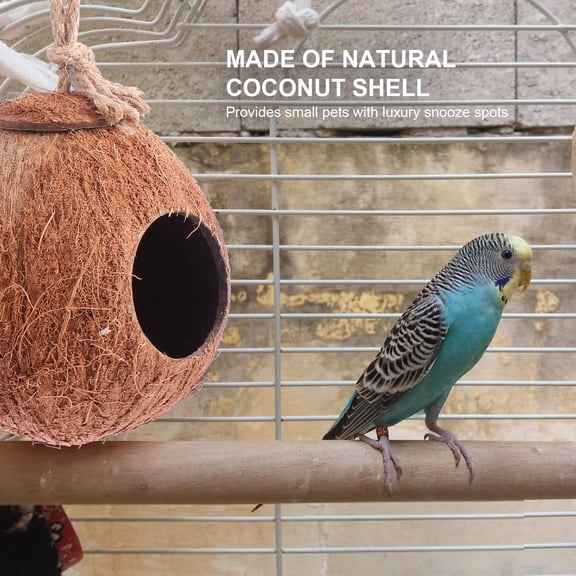 BESTYASH Parakeet Coconut House Coconut Shell and Birdseed Storage Birds Easter 1Pack