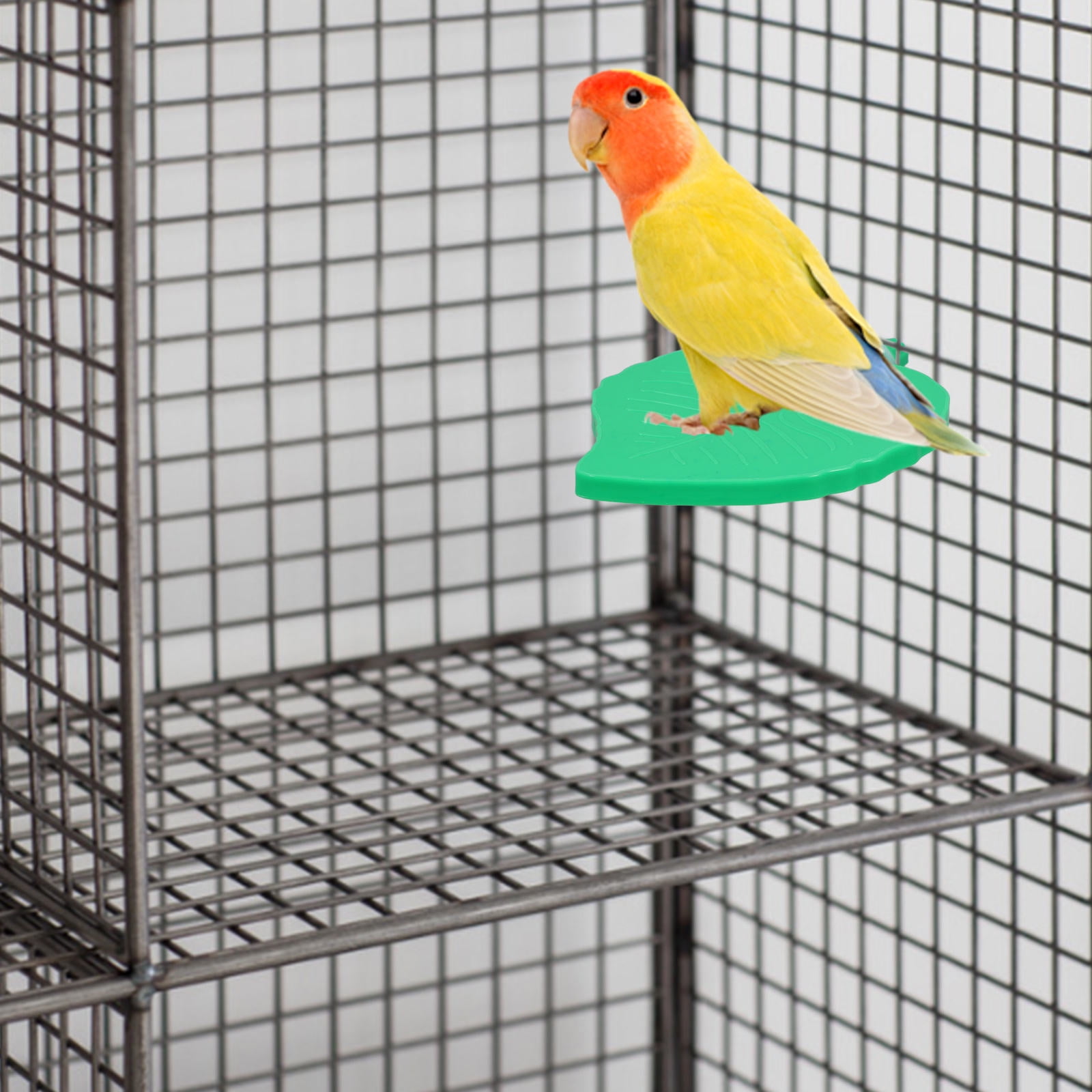 Bestyash Light Green Leaf Shaped Parrot Exercise Platform Stand Plastic Photo Inspiration