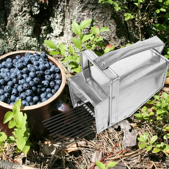 BESTYASH Metal Blueberry Picker Tool with Comfortable Handle for Harvesting Blueberries and Garden Fruits