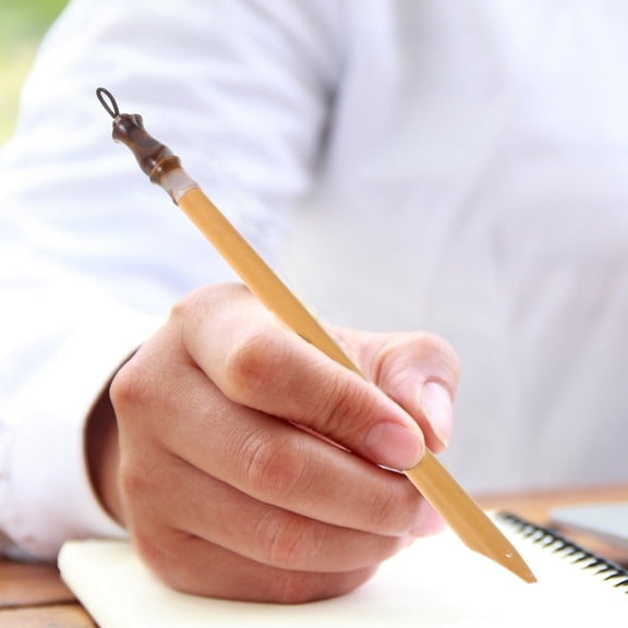 BESTYASH Multi Color Bamboo Calligraphy Dip Pen for Smooth Ink Flow and Traditional Writing