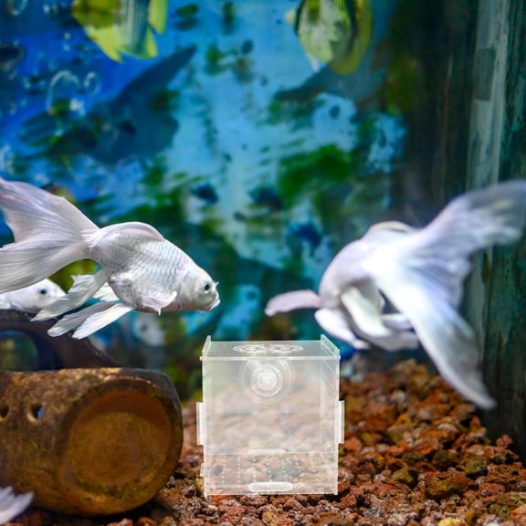 BESTYASH Clear Acrylic Fish Tank Breeding Isolation Box for Aquarium with Easy Setup and Maintenance