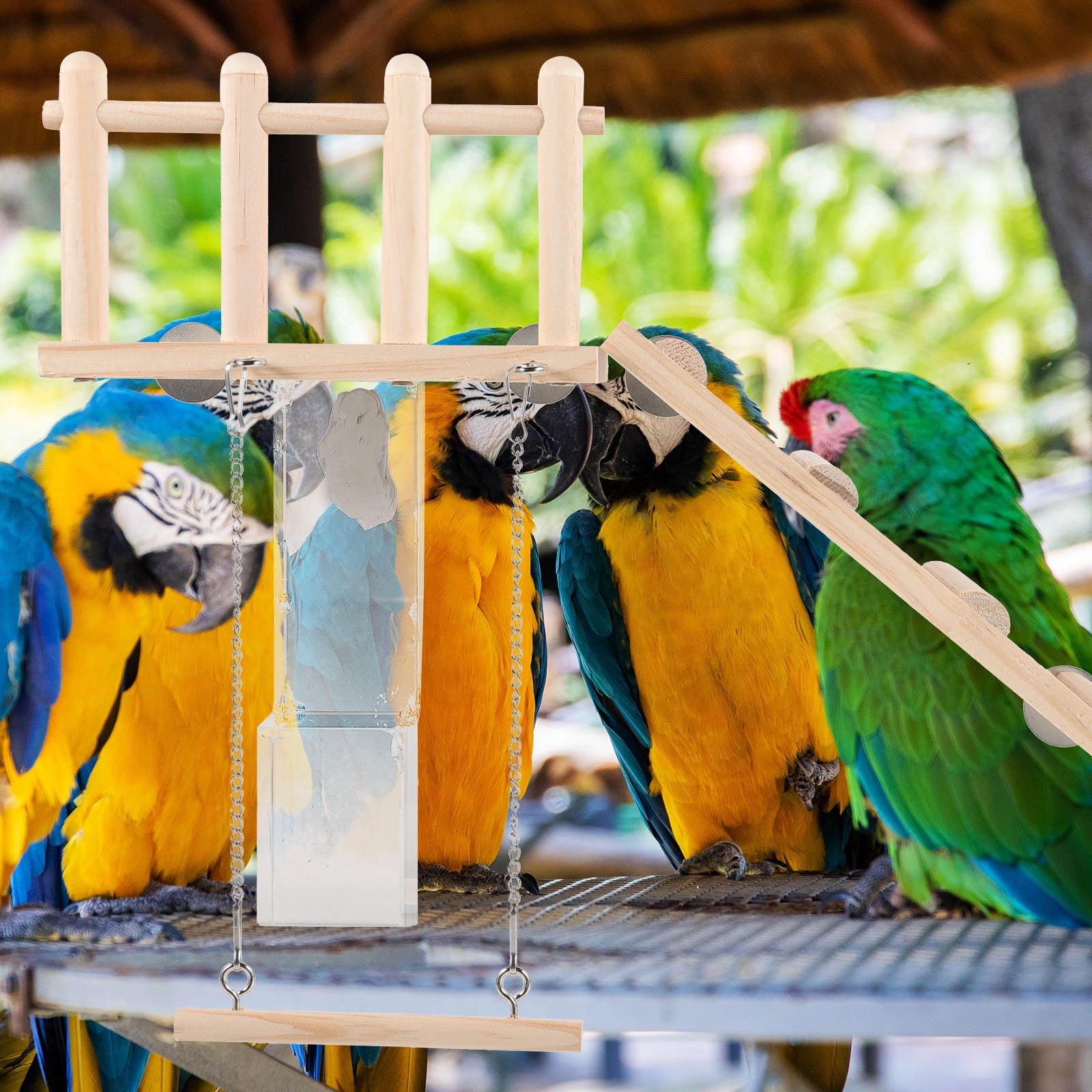BESTYASH Natural Beige Wood Bird Swing for Parakeets and Parrots Cage ...