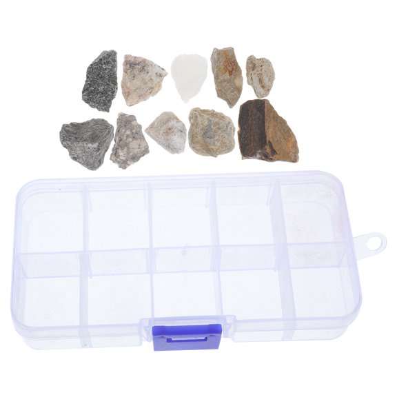 BESTYASH Organized Rock Specimen Set with Portable Box for Geology Classroom and Science Education