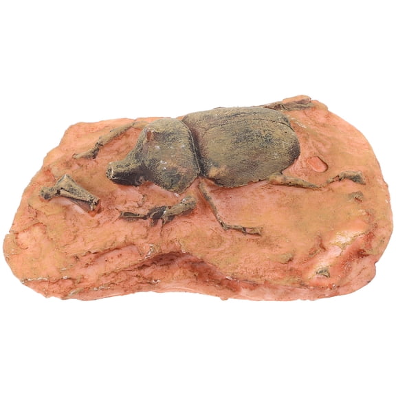 BESTYASH Paleontological Specimen Insect Light Brown 1Pcs For Science Teaching Decoration