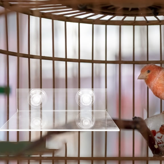 BESTYASH Parakeet Cage Accessories Bird Perches Platform Acrylic Transparent 1Pcs For Small Birds Owners Bath