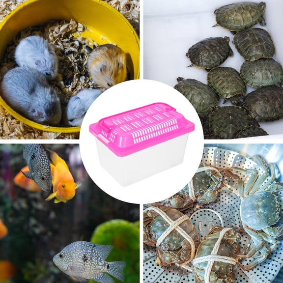 BESTYASH Plastic Breeding and Feeding Box for Reptiles Transparent Turtle Habitat Lightweight Compact Tank