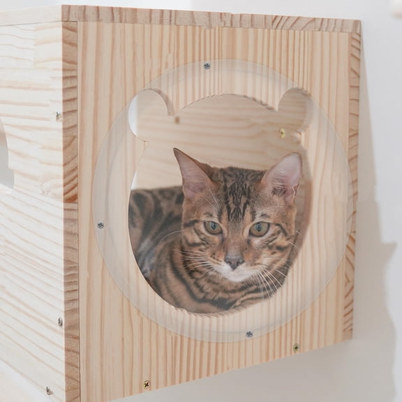 BESTYASH Plastic Cat Dome Bed for Climbing Frame with Transparent Capsule and Sturdy Construction