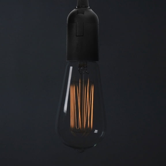 BESTYASH Plug in Hanging Light Socket with Cord Simple Stylish Lamp Holder for Secure Light Fixture Use