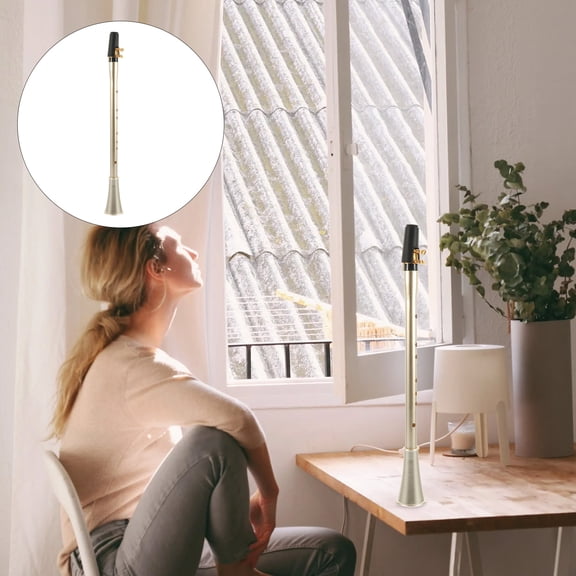 BESTYASH Golden ABS Clarinet Practice Instrument for Wind Players, 1 Piece