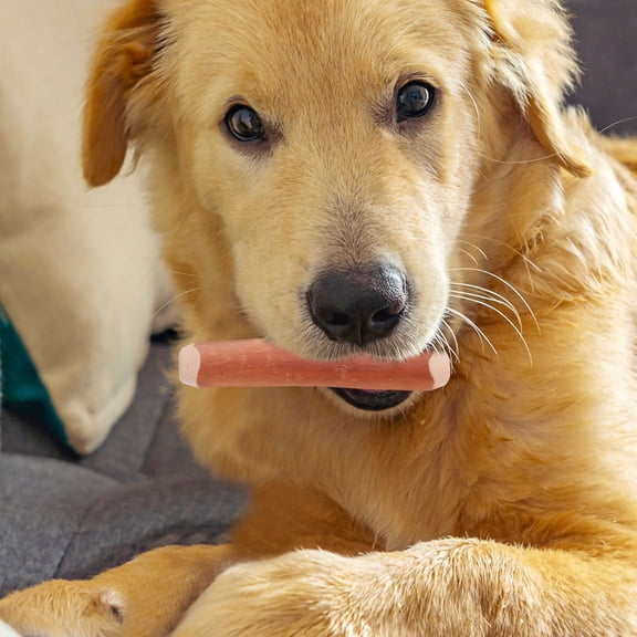 BESTYASH Puppy Teething Sticks Wood Chew Toy for Dogs Provides Teeth Cleaning 1Pcs