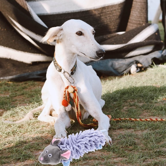 BESTYASH Puppy Tug Toy Squeaky Sound Grey Plush Pulling Exercise 1 Set