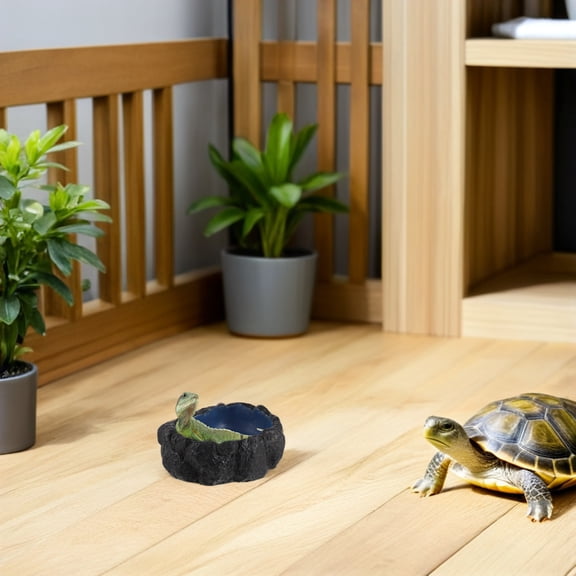 BESTYASH Reptile Feeding Dish with Ramp Corner Bowl for Lizards, Frogs, Tortoises, Geckos and Small Pets