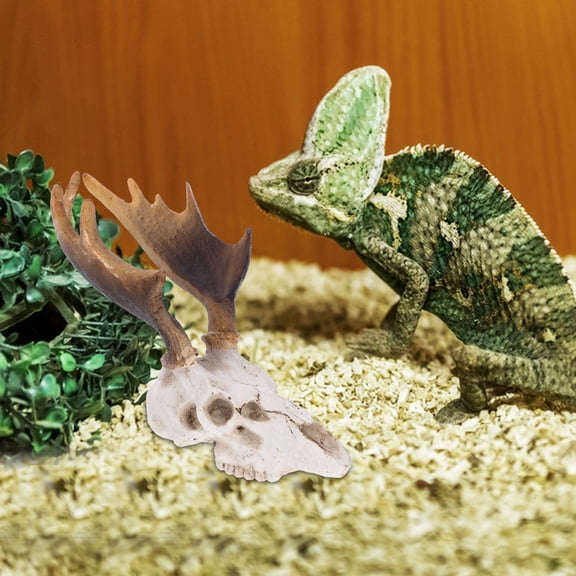 BESTYASH Resin Reptile Hideout Deer Skull Decorative Shelter for Reptile Tank and Lizard Habitat