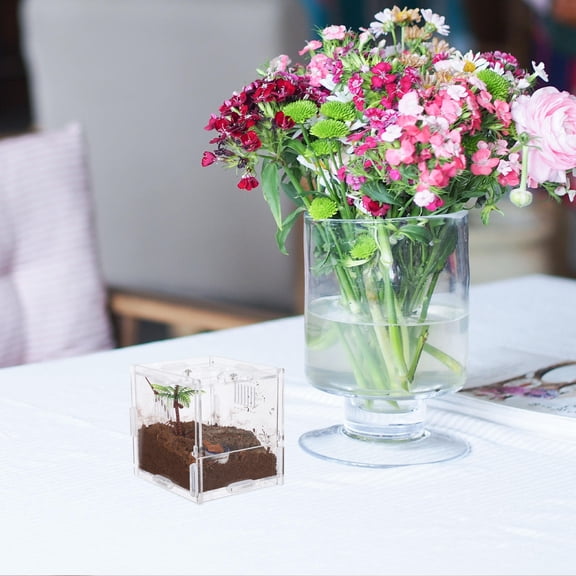 BESTYASH Acrylic Spider Feeding Terrarium Box for Small Reptiles Amphibians Versatile Enclosure