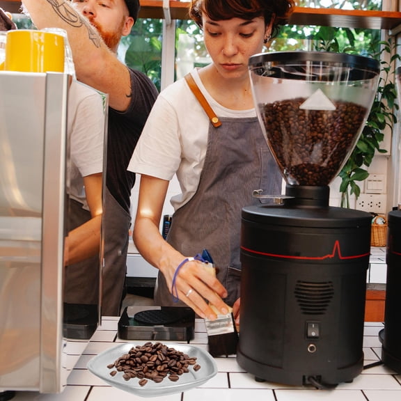 BESTYASH Sturdy Stainless Steel Coffee Bean Plate for Storage Compact Sample Tray 9.8 x 6.5 Inches