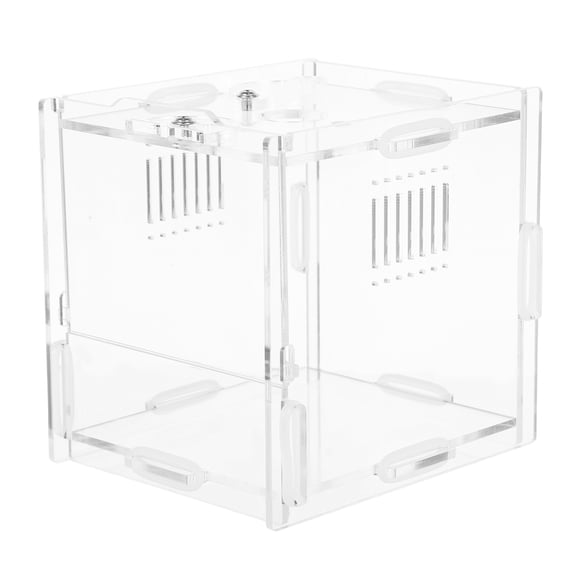 BESTYASH Crystal Clear Acrylic Snake Hatching Terrarium Box for Reptile Keepers