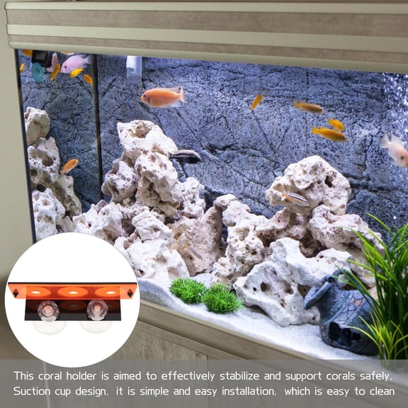 BESTYASH Wear Resistant Acrylic Coral Support Rack for Aquarium Display and Cultivation