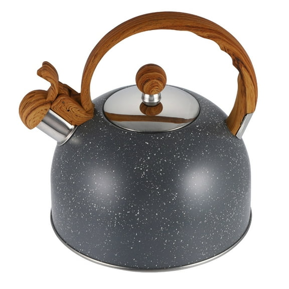BESTYASH Whistling Kettle for Gas Stove Flat Bottom Energy Saving 1Pcs