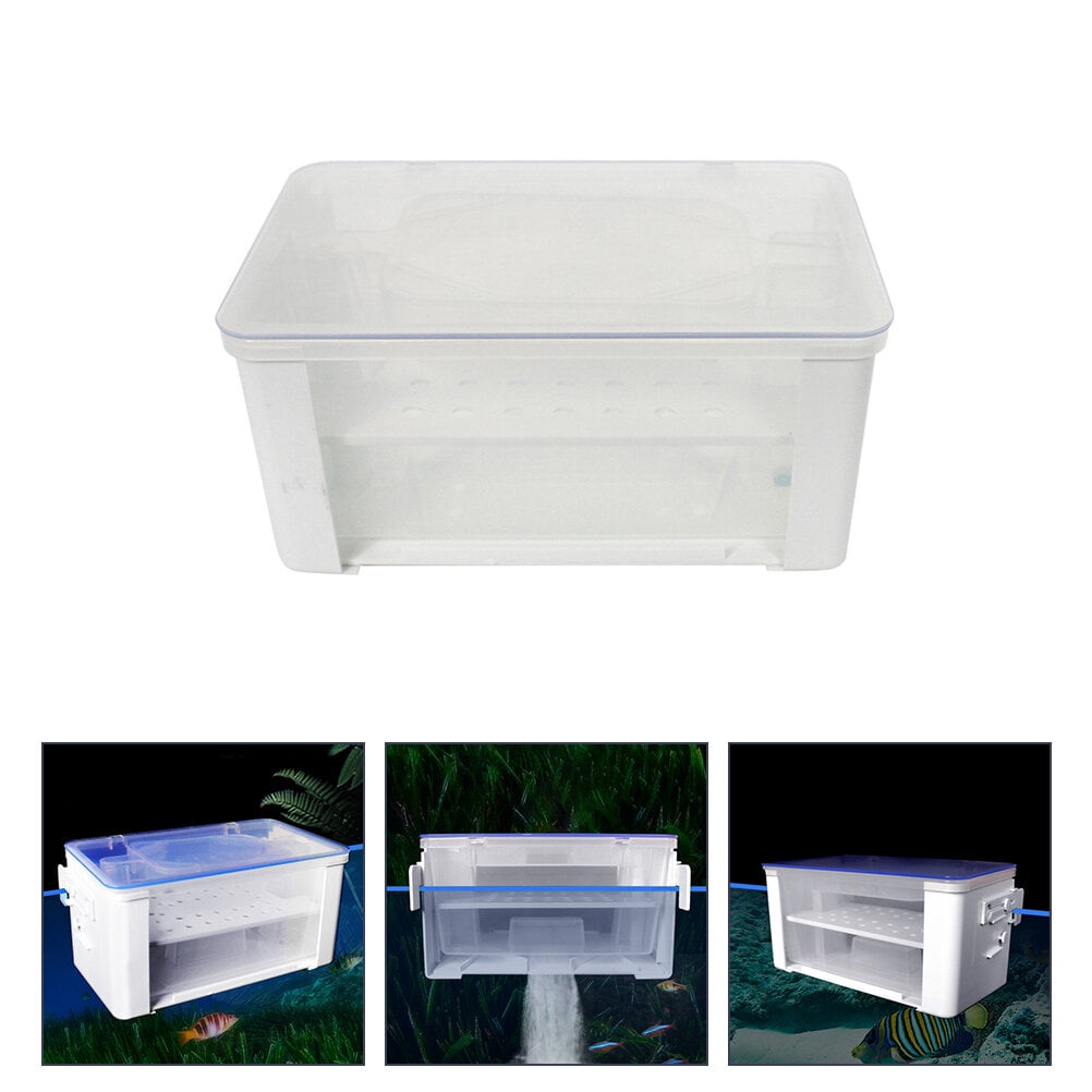 A closer look at Water Circulation For Turtle Tanks