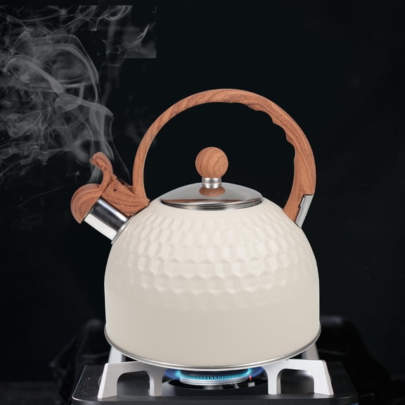 BESTYASH White Stainless Steel Teapot Kettle for Home Use Efficiently Boils Water for Tea and Coffee 2.5L