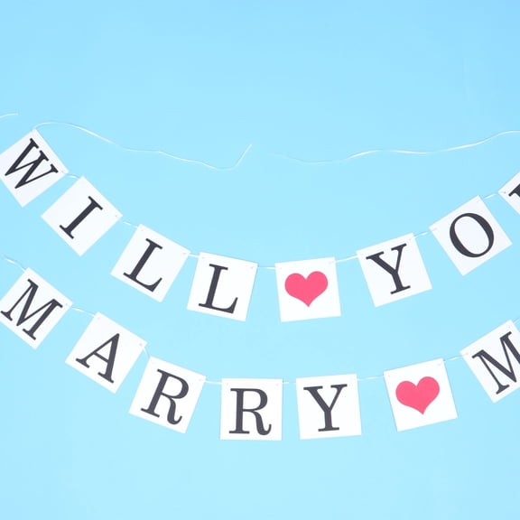 BESTYASH Multi-Color 'Will You Marry Me' Garland Banner for Wedding, Engagement, Car Decoration, Party Supplies, Proposal Decor