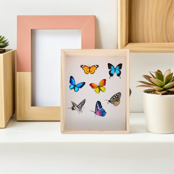BESTYASH Wooden Insect Display Case with Clear Viewing Panel for Classroom, Studio, and Home Educational Display