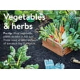 thumbnail image 1 of BETTER HOMES & GARDENS TOMATO MR STRIPEY PT, 1 of 1