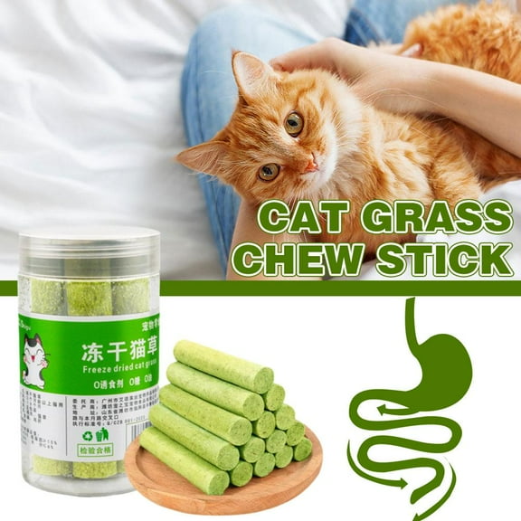 BETTERLIFE 1 Cat Grass Sticks for Indoor Cat Grass Chew Sticks Teeth Cleaner Cat Chew Toy L5V8