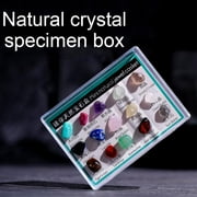 BETTERLIFE 15Pcs Rocks Gemstones Collection Box Quartz Crystasl Natural Mineral Hot O6 B7V4