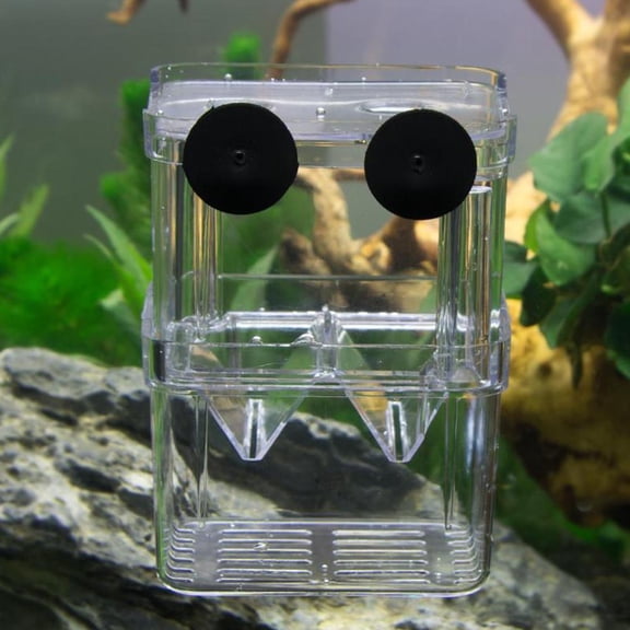 BETTERLIFE 1xFish Breeding Box Shrimp Hatchery Fish Tank Incubator Isolation Tool O1E2
