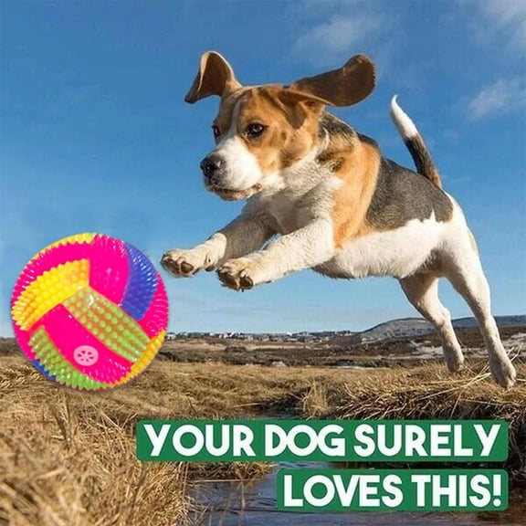 BETTERLIFE 3x Pet Dog Puppy LED Light Up Flashing Play Toys Bounce iky Rubber Ball Sp X1 { J2I7