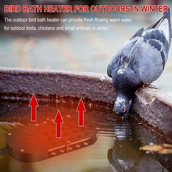 BETTERLIFE Bird Bath Heater for Outdoors in Winter, 250 Watts Heated Bird J7B2
