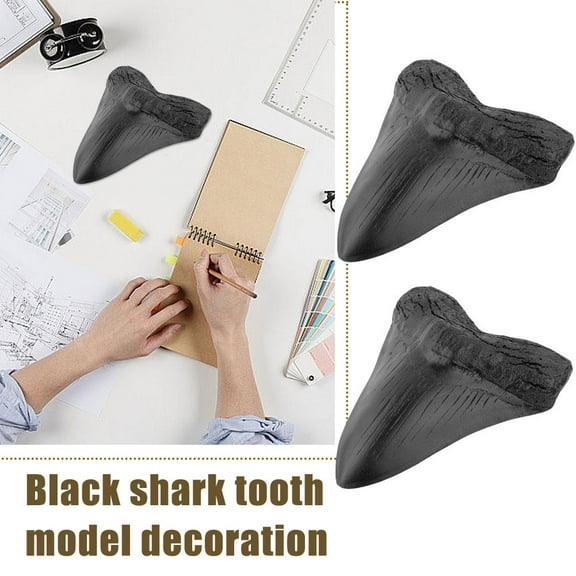 BETTERLIFE Fossilized Megalodon Shark Tooth -Resin ornaments G7J7