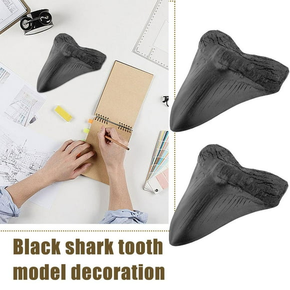 BETTERLIFE Fossilized Megalodon Shark Tooth -Resin ornaments V2U7
