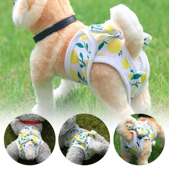 BETTERLIFE Physiological Pants for Dogs Pet Diapers Female Sanitary Pants Dog Wash Nice A6 X7X7