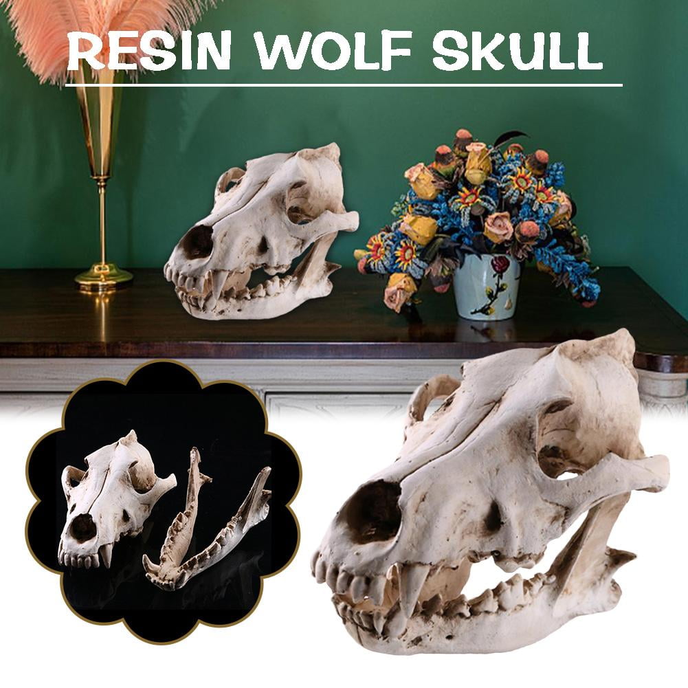 BETTERLIFE Resin Wolf Animal Head Skull Replica Halloween Ornament Statue  Model White. P5P8 - Walmart.com, image size:1001x1001
