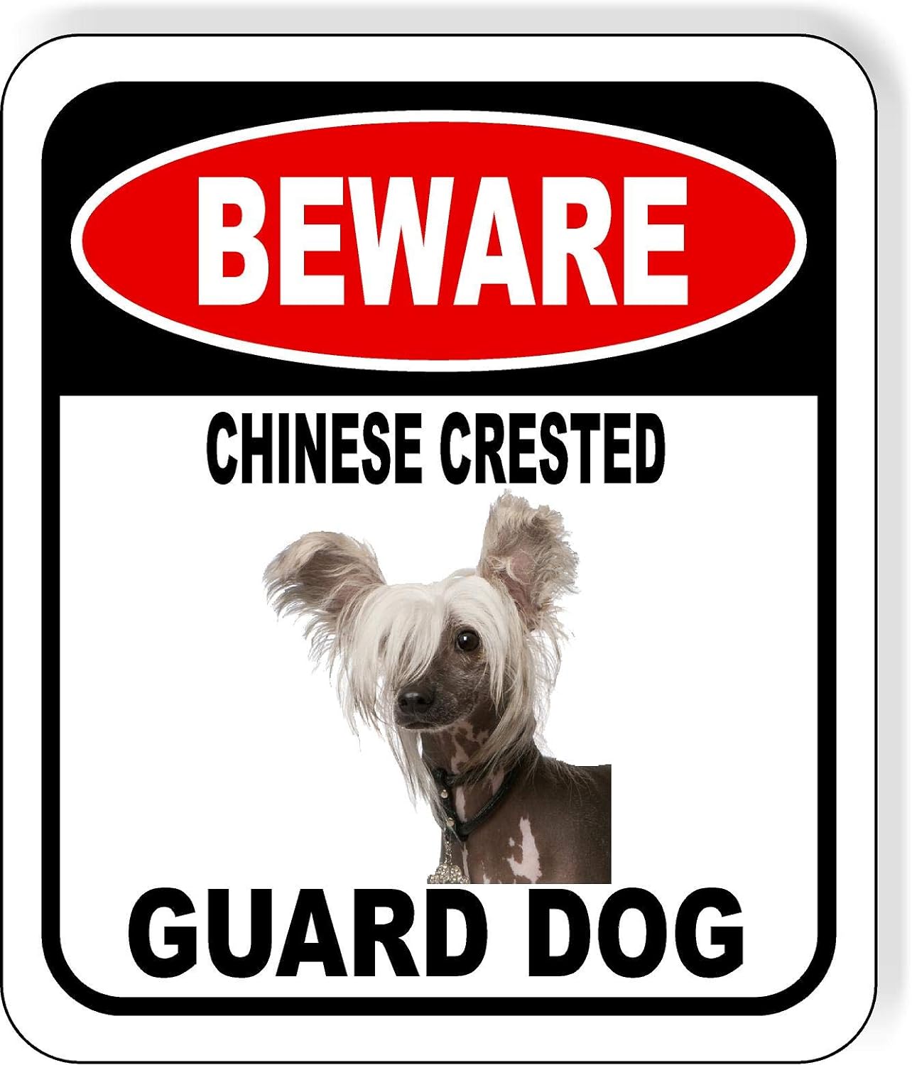Chinese Protection Sign BEWARE CHINESE CRESTED GUARD DOG Aluminum Composite Outdoor Sign 12 ...