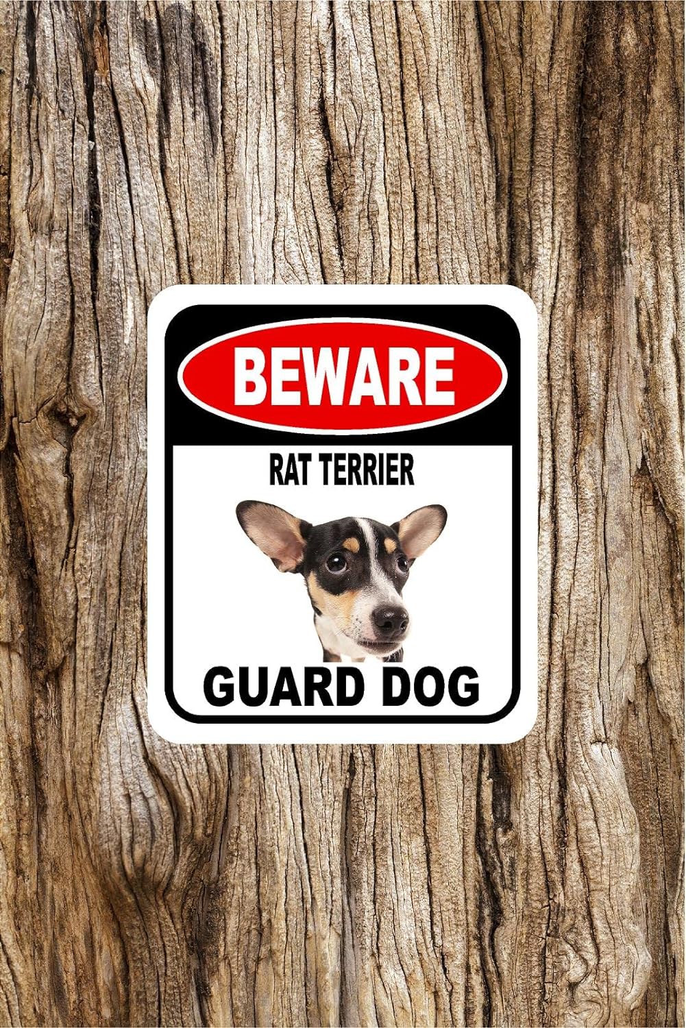 BEWARE RAT TERRIER GUARD DOG Aluminum Composite Outdoor Sign 12