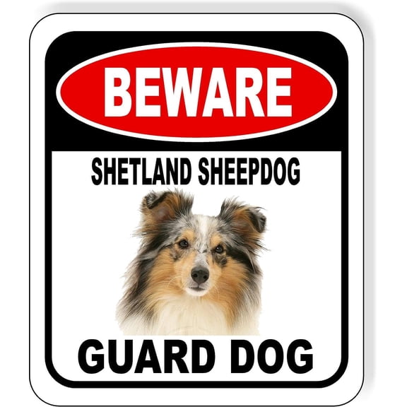 BEWARE SHETLAND SHEEPDOG GUARD DOG Aluminum Composite Outdoor Sign 8" x12" Metal Security Notice for Yard, Fence, Porch, Property, and Business No Trespassing, Warning, Attack Dogs, Protection