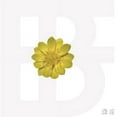 thumbnail image 1 of BF - Adonis (incl. 148pg Photobook + 2 Photocards) - Music & Performance - CD, 1 of 1